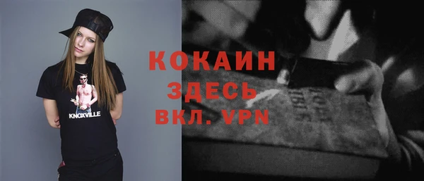 спайс Алексин