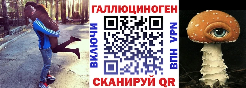 даркнет сайт  Киселёвск  KRAKEN рабочий сайт  Галлюциногенные грибы Psilocybine cubensis 